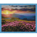 Цветущее поле на закате Алмазная мозаика на подрамнике