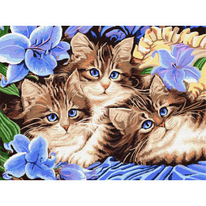  Котята в цветах Раскраска картина по номерам на холсте Z-EX5689