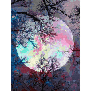  Неоновая луна Раскраска картина по номерам на холсте Z-EX6362