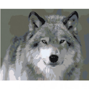 Северный волк 80х100 Раскраска картина по номерам на холсте