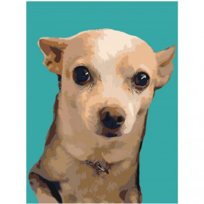 Собака на бирюзовом фоне 75х100 Раскраска картина по номерам на холсте