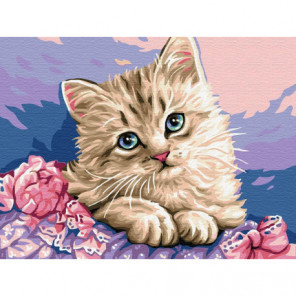 Милый котик Раскраска картина по номерам на холсте