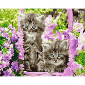 Голубоглазые котята Раскраска картина по номерам на холсте