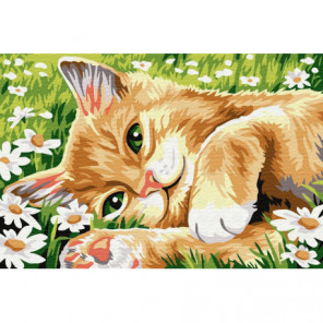 Кот в ромашках Раскраска картина по номерам на холсте