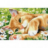 Кот в ромашках Раскраска картина по номерам на холсте