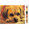 Грустный щенок 60х80 Раскраска картина по номерам на холсте