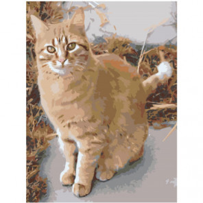 Рыжая кошка 60х80 Раскраска картина по номерам на холсте