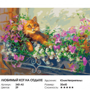 Сложность и количество цветов Любимый кот на отдыхе Раскраска картина по номерам на холсте 340-AS