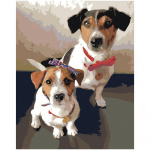 Две собаки джек рассел Раскраска картина по номерам на холсте