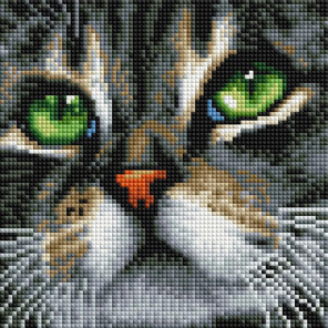  Зеленоглазый кот Алмазная вышивка мозаика на подрамнике UС196