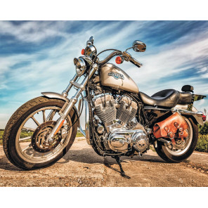  Harley-Davidson Sportster Алмазная мозаика на подрамнике LG226
