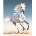 Белая лошадь Алмазная мозаика на подрамнике