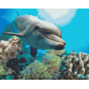 Добрый дельфин Алмазная мозаика на подрамнике