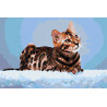  Бенгальская кошка Раскраска картина по номерам на холсте AAAA-RS017-80x120