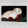 Пример в интерьере Персидская кошка с розами Раскраска картина по номерам на холсте AAAA-RS018-80x120