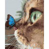  Котёнок и бабочка на носу Раскраска картина по номерам на холсте AAAA-JV3-100x125