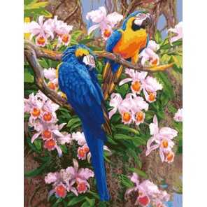 Цветные попугаи 50х65см Раскраска по номерам акриловыми красками на холсте Menglei