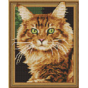 Рыжий кот Алмазная мозаика вышивка на подрамнике Molly