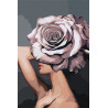  Девушка. Цветочная голова - роза Раскраска картина по номерам на холсте AAAA-RS024