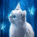 Голубоглазая кошка Алмазная мозаика вышивка без подрамника Molly