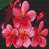  Цветок лаоса Алмазная мозаика вышивка без подрамника Molly KM0232