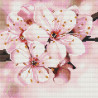  Яблоня в цвету Алмазная мозаика вышивка без подрамника Molly KM0239