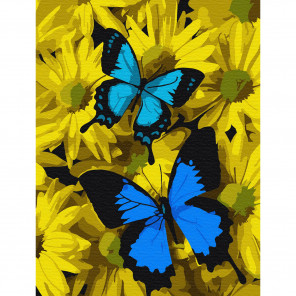Внешний вид коробки Синие бабочки в цветах Раскраска по номерам на холсте Molly KH0794