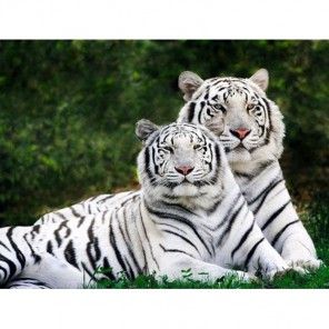 Влюбленные тигры Алмазная вышивка (мозаика) Гранни