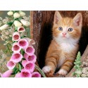 Рыжий котенок Алмазная вышивка (мозаика) Гранни