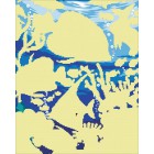 Область выкладки алмазной мозаики Подводный мир Алмазная частичная вышивка (мозаика) Color Kit