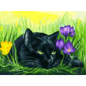 Кот и крокусы Раскраска картина по номерам на картоне Белоснежка