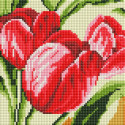 Тюльпаны Алмазная вышивка мозаика без подрамника Белоснежка