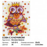 Количество цветов и размер Сова с ключиком Алмазная вышивка мозаика на подрамнике Белоснежка 543-ST-S