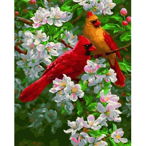  Яркие птички на яблоне Раскраска картина по номерам на холсте МСА443