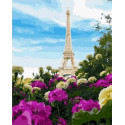 Французские цвета Раскраска картина по номерам на холсте