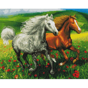  Лошади в маковом поле Алмазная мозаика вышивка на подрамнике GF4249