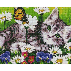  Котик на лугу Алмазная мозаика вышивка на подрамнике GF4378
