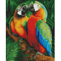 Семья попугаев Алмазная мозаика вышивка на подрамнике
