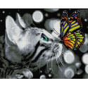 Дружба котика с бабочкой Алмазная мозаика вышивка на подрамнике