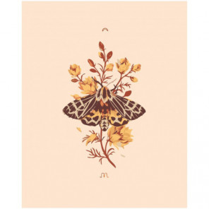 Бабочка на цветке 80х100 Раскраска картина по номерам на холсте