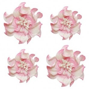 Бело-розовые Цветы кудрявой фиалки для скрапбукинга, кардмейкинга Scrapberry's