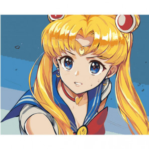 Сейлор Мун Sailor Moon Anime 80х100 Раскраска картина по номерам на холсте