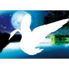 Лебедь в ночи Алмазная частичная вышивка (мозаика) Color Kit
