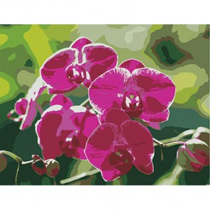 Область выкладки Ветка орхидеи Алмазная частичная вышивка (мозаика) на подрамнике Color Kit