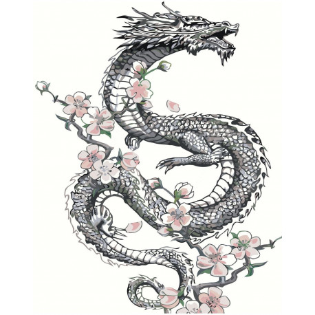 Раскраски с драконами различных типов