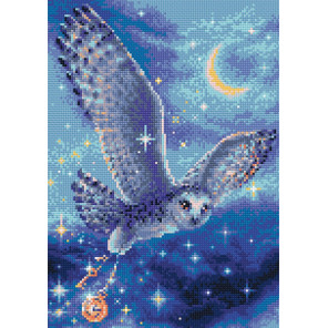  Волшебная сова Алмазная вышивка мозаика Риолис АМ0041