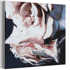  Лепестки розы 100х100 см Раскраска картина по номерам на холсте AAAA-RS245-100x100