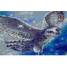  Волшебная сова Набор для вышивания Риолис 1872
