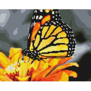 Бабочка на цветке Алмазная вышивка (мозаика) Sddi Anya