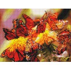 Яркие бабочки Алмазная вышивка (мозаика) Sddi Anya